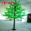 led maple tree  1