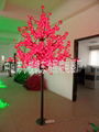 led maple tree  2