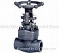 Gate Valve 5