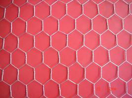 Hexagonal Wire Netting