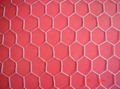 Hexagonal Wire Netting 1