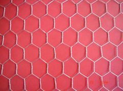 Hexagonal Wire Netting