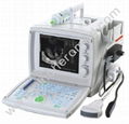 Portable Veterinary Ultrasound Scanner