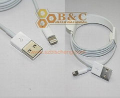 Lightning to USB Cable for iPhone5