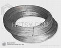 Titanium Wire 1