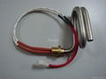 Cartridge heater for heating water