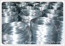 Galvanized Iron Wire 3