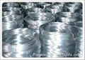 Galvanized Iron Wire 3