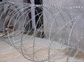 Razor Barbed Wire 3