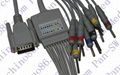 Nihon Kohden one piece 10-lead ECG cable with leadwire  1