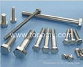 Stainless Steel Fasteners 1