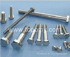 Stainless Steel Fasteners