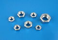 hex nuts