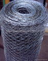 hexagonal wire netting