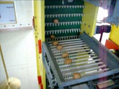 automatic eggtray machine