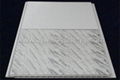 PVC Plastic Ceiling Panel