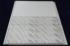 PVC Plastic Ceiling Panel