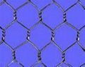 Hexagonal wire mesh  1