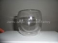 double wall glass cup