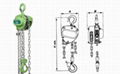 Chain Hoist 2