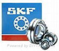 SKF 1