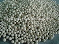 molecular sieve 1