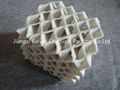 Ceramic structured packing 1