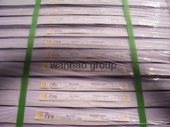 carbonless copy paper 