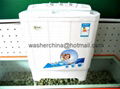 8.8kgs washing mashing machine 5