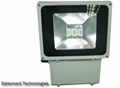 LED Floodlight 4