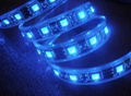 LED Strips 2