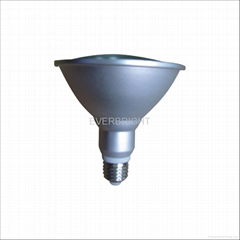 LED PAR38 Lamp