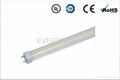 LED T8 tube light