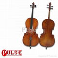 WN-904 Handmade Cello