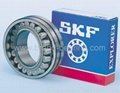 Distributor and agent of SKF bearing