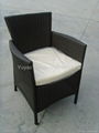 PE  rattan sofa sets 2