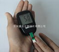 Blood glucose meter