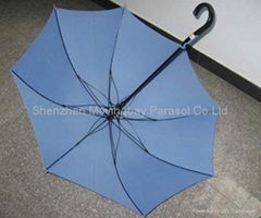 Promotion parasol