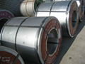 color steel rolled  coil sheet