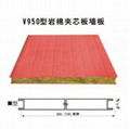 EPS Sandwich panel