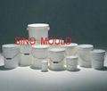 Painting Pail mould