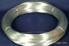 Galvanized Iron Wire 鍍鋅絲 2