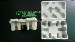 Dongguan HeDong Molded Pulp Packaging Co.,Ltd