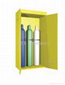 Gas Cylinder Cabinet 1