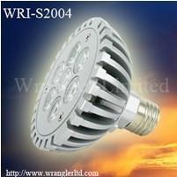 LED Par Light