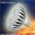 LED Par Light