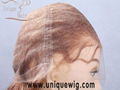 100% indian/Chinese remy lace wig      3