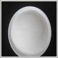 Cationic polyacrylamide(PAM) 1