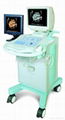 Dual Screen Ultrasound 1