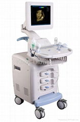 Color Doppler Ultrasound System